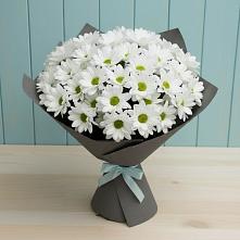 Букет цветов из:  Хризантемы #REPLACE_PRED# Нижне-Чирской