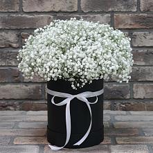 Цветочная композиция из Гипсофила в шляпной коробке в Нижне-Чирской